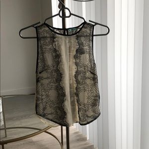 Sheer Kimchi Blue blouse